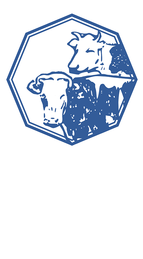 Yoyogi Yogurt